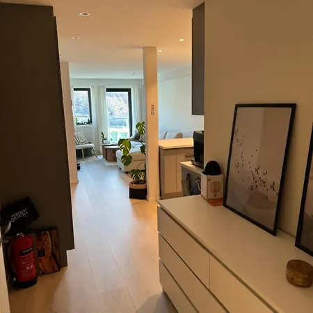 Sentralt Og Landlig Daire Ålesund